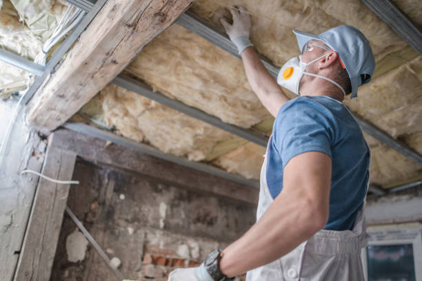 Best Local Insulation Services  in Westmoreland, TN