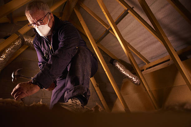 Best Insulation for New Construction  in Westmoreland, TN